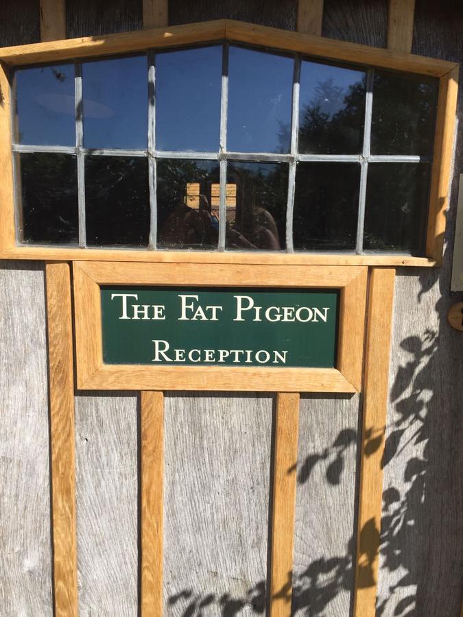 The Fat Pigeon Pensionat Yeovil Exteriör bild